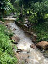 WTF COFFEE CAMP คาเฟ่น้ำตกที่สวยที่สุด ⛰️