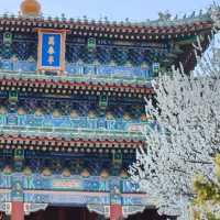 สวนสาธารณะจิ่งชาน Jing shan park