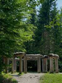 Revolving Around the Beauty of Nature: Eyes – Austria 