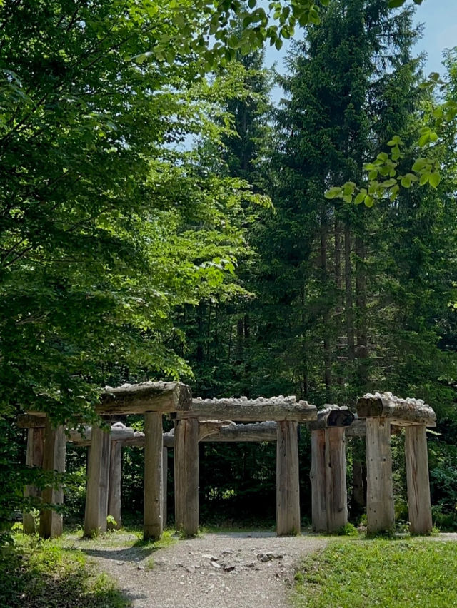 Revolving Around the Beauty of Nature: Eyes – Austria 