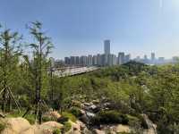 上海之旅 閔行日出 徐光啟墓園