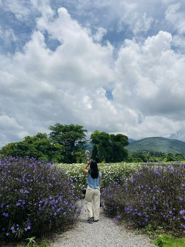 Hinoki land จ.เชียงใหม่