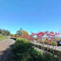 北海道大雪山國立公園漫步