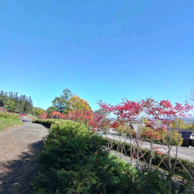北海道大雪山國立公園漫步 北海道大雪山國立公園漫步