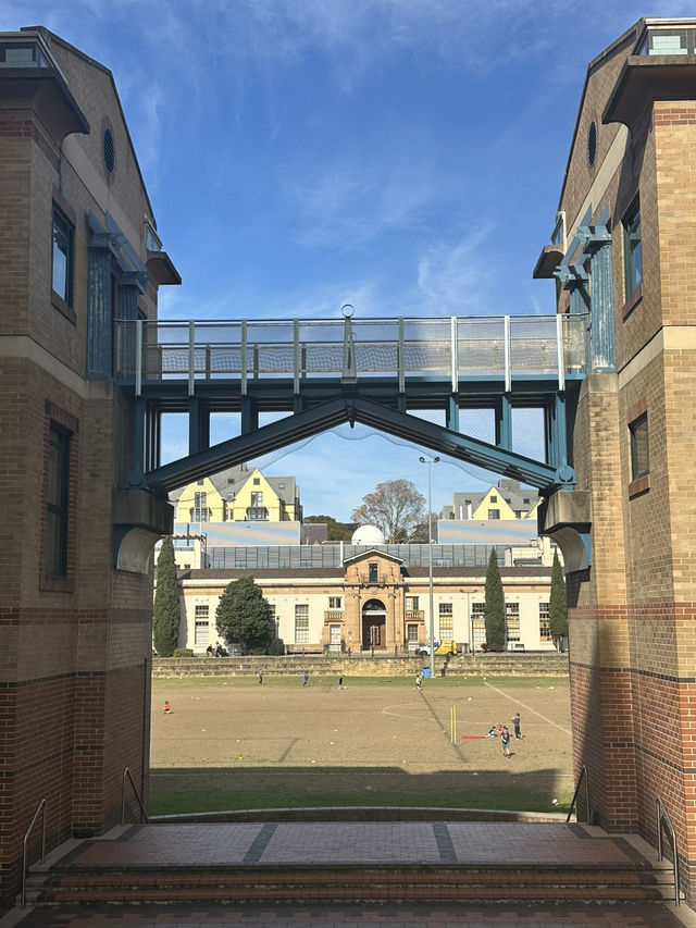 The University of Sydney: Where Historic Castles Meet Modern Creativity