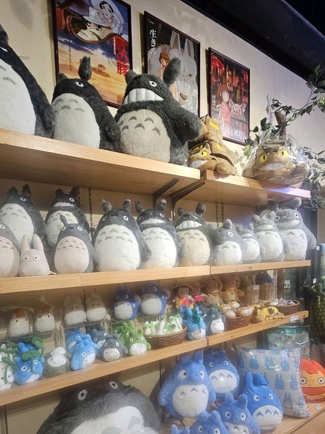 龍貓玩偶打卡指南室內治癒感爆棚🌻