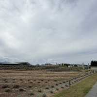 Hill of the Buddha & Moai Hill