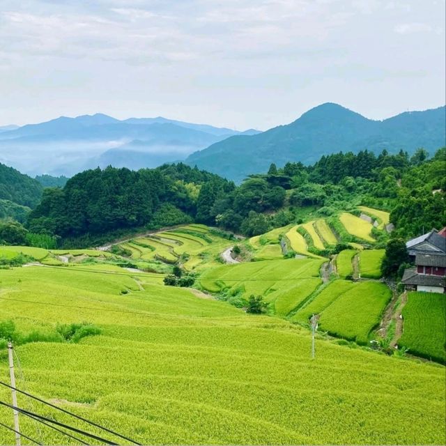壺神山麓に広がる “天空の隠れ里” の絶景棚田
