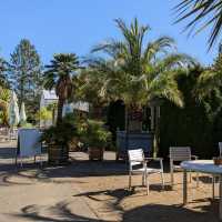 Loki Schmidt Garden Botanical of University Hamburg