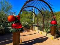 🌵 “Desert Botanical Garden – Where the Desert Blooms with Life!”