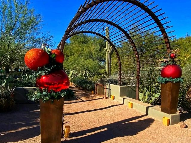 🌵 “Desert Botanical Garden – Where the Desert Blooms with Life!”