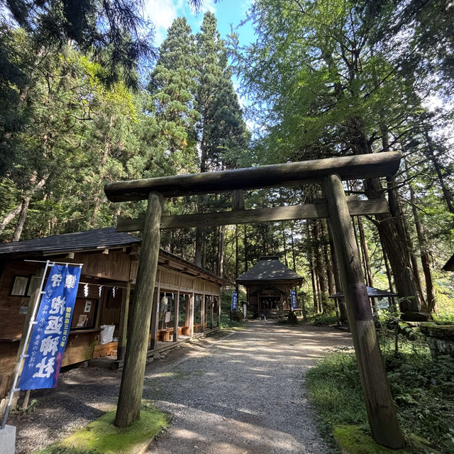 水が綺麗過ぎて癒されました❤️ 水が綺麗過ぎて癒されました❤️