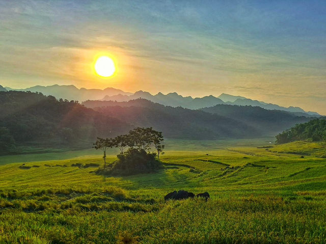 ✨🌿 Discover the Hidden Gem of Pù Luông, Vietnam! 🌿✨
