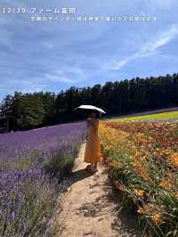 札幌⇨富良野・美瑛の旅🚗