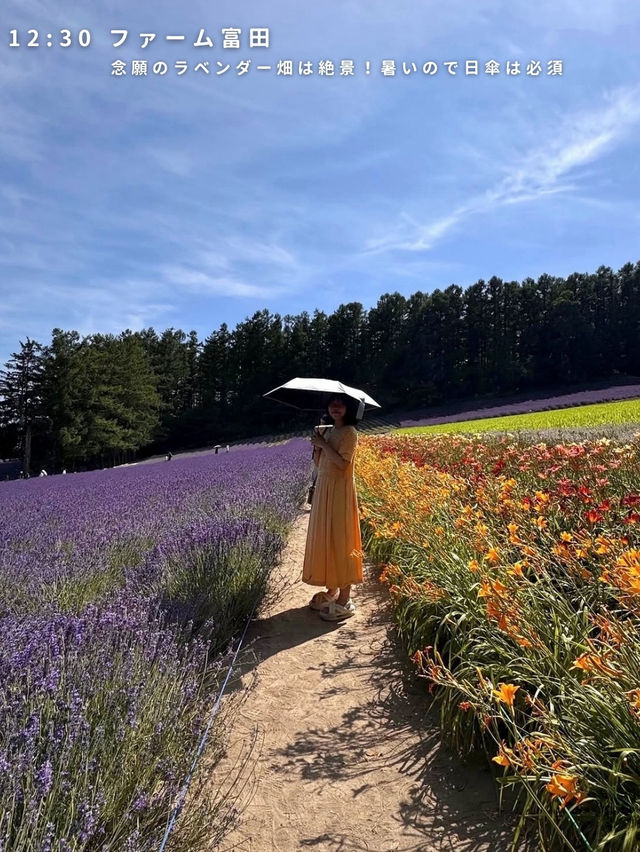 札幌⇨富良野・美瑛の旅🚗