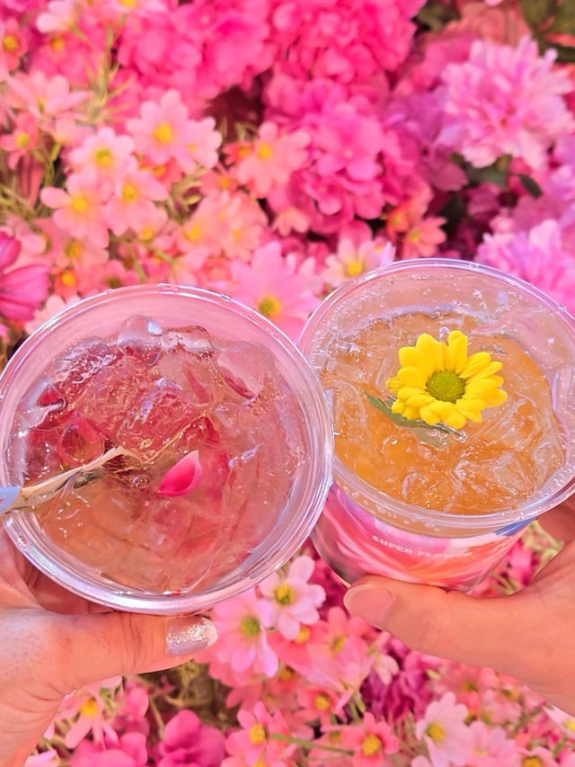 🌅푸른 제주 동복리 바다 특별한 공간 수퍼플라워🚢