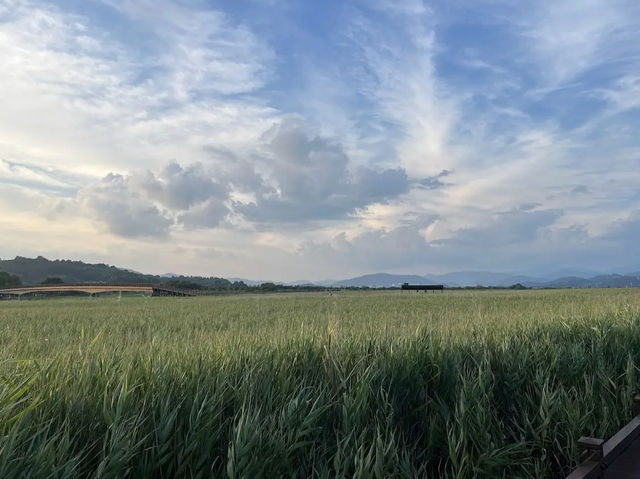 Suncheon Bay Nature Reserve