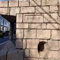 The Shōtō Museum of Art – A Quiet Haven for Modern Aesthetics in Shibuya