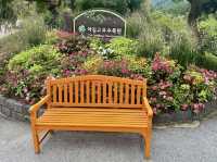 Garden of Morning Calm