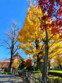 Crimson and Golden Serenity at Sensō-ji