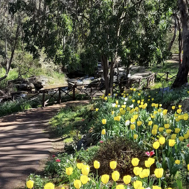 Araluen Botanic Park
