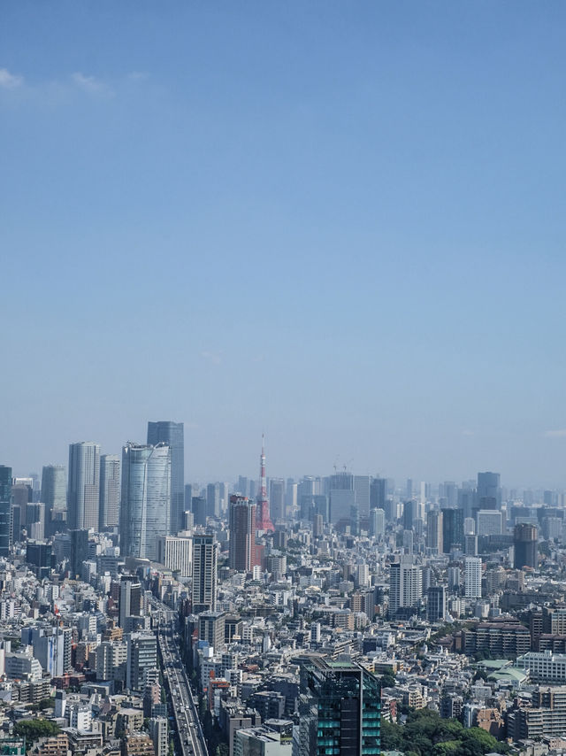 Shibuya Sky Tokyo: Stunning Views and Perfect Photo Lighting on a Sunny Day