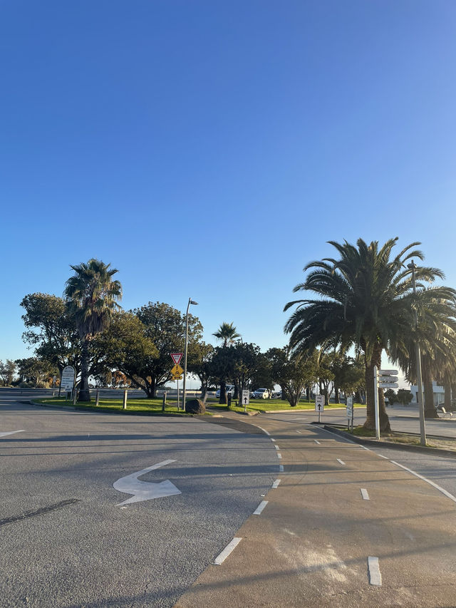 St Kilda Botanical Gardens – Melbourne