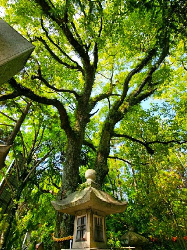 Sorasaya Inao Shrine.