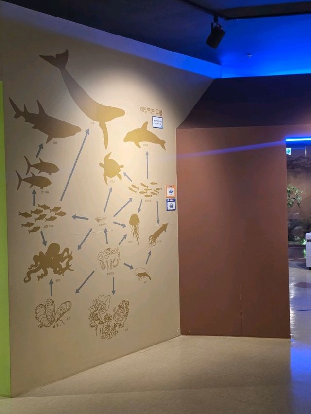 자연의 모든 이야기가 담긴 자연사박물관🌏🦋