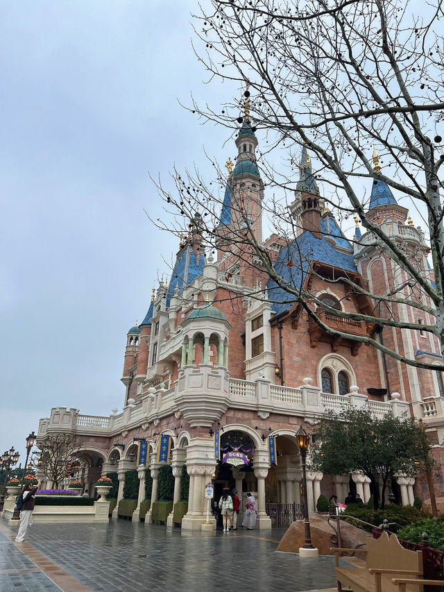 Shanghai Disneyland in December