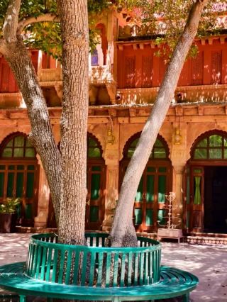 #hellohalloween

🏰 Gajner Palace, Bikaner 🌿

Set beside the tranquil Gajner Lake, Gajner Palace is a serene royal getaway surrounded by desert beauty and wildlife. 👑✨ Originally built as a hunting lodge for Maharaja Ganga Singh, it now welcomes guests as a heritage hotel with elegant rooms, lush gardens, and peaceful lake views. 🌅 Perfect for a royal retreat and nature lovers alike! 💖

🕰️ Open 24 Hours (Hotel Guests) | 💰 Heritage stay & dining available
📍 Gajner, Bikaner

#GajnerPalace #RoyalRajasthan #HeritageStay #BikanerDiaries #IncredibleIndia

