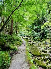 猛暑の中🫠涼を求めるならここ行って✨一日中自然を満喫できる滝のテーマパーク😉