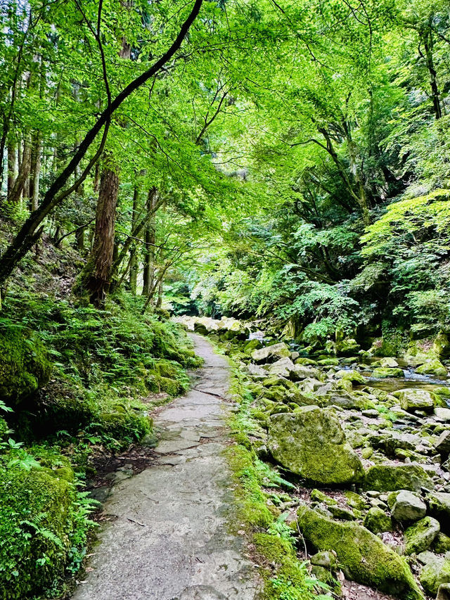 猛暑の中🫠涼を求めるならここ行って✨一日中自然を満喫できる滝のテーマパーク😉 猛暑の中🫠涼を求めるならここ行って✨一日中自然を満喫できる滝のテーマパーク😉
