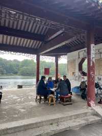 🇨🇳 History in the Clouds: Exploring Nanjing’s Purple Mountain (Zijin Shan)