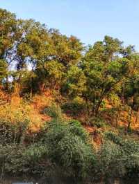 🌄🌿 Batali Hill – Chittagong’s Panoramic Viewpoint