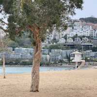 Limited budget but unlimited experience