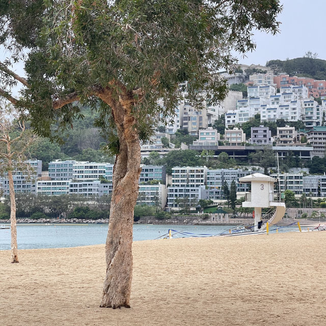 Limited budget but unlimited experience Limited budget but unlimited experience