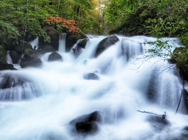 日本青森奧入瀨溪流 日本青森奧入瀨溪流