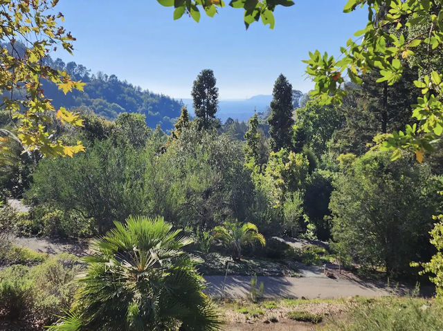 University of California Botanical Garden