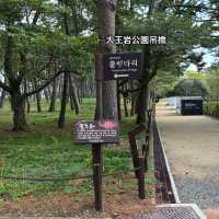 【蔚山】長さ303メートル‼️無料の吊り橋【大王岩公園吊橋】