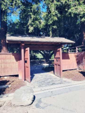 The Soloist's Urban Oasis: Japanese Friendship Garden of San Jose