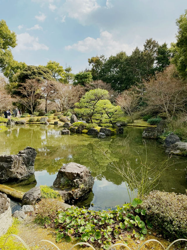 Kyoto's Secret Palette: A Solo Afternoon at Jonan-gu