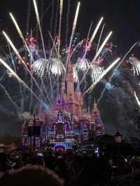 Shanghai Bund & Disney Magic Tripcom🎢