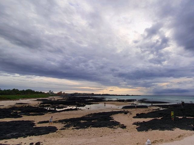 아름다운 바다 여행 📍제주도 아름다운 바다 여행 📍제주도