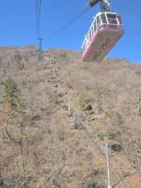 Fukuoka 7 วัน Feburary 2025 ขากลับแวะโฉบเซี่ยงไฮ้