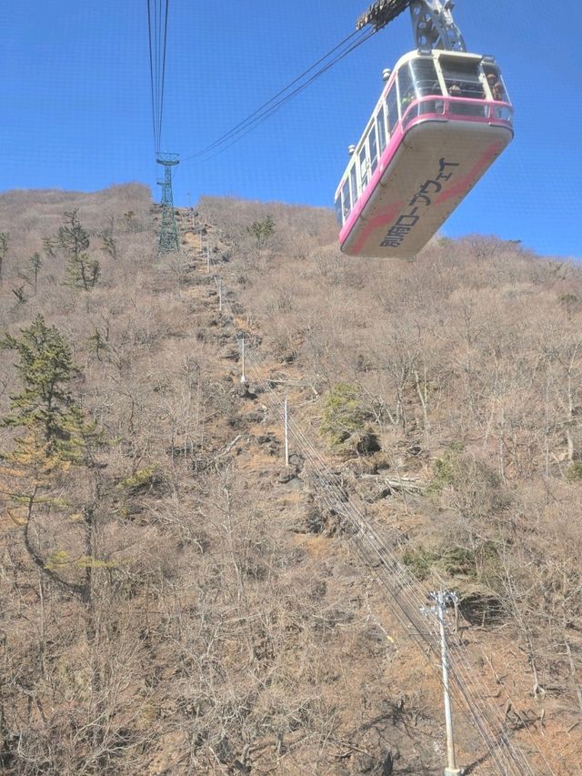 Fukuoka 7 วัน Feburary 2025 ขากลับแวะโฉบเซี่ยงไฮ้