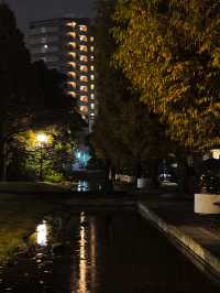 ๐ฝ๏ธ์๊ธฐ๋ฅ์ ๋์๊ธฐ๋ฅผ ๊ตฌ๊ฒฝํ ์ ์๋ โ๋
ธ๋ฆฌํ์ผ์ ์ฒโ