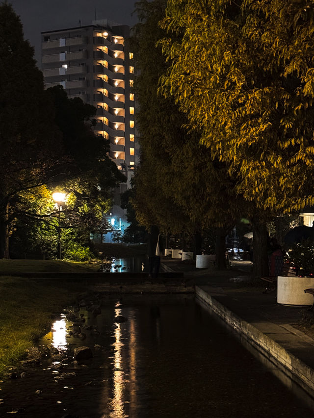 ๐ฝ๏ธ์๊ธฐ๋ฅ์ ๋์๊ธฐ๋ฅผ ๊ตฌ๊ฒฝํ ์ ์๋ โ๋
ธ๋ฆฌํ์ผ์ ์ฒโ ๐ฝ๏ธ์๊ธฐ๋ฅ์ ๋์๊ธฐ๋ฅผ ๊ตฌ๊ฒฝํ ์ ์๋ โ๋
ธ๋ฆฌํ์ผ์ ์ฒโ