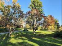 Queen Elizabeth Park