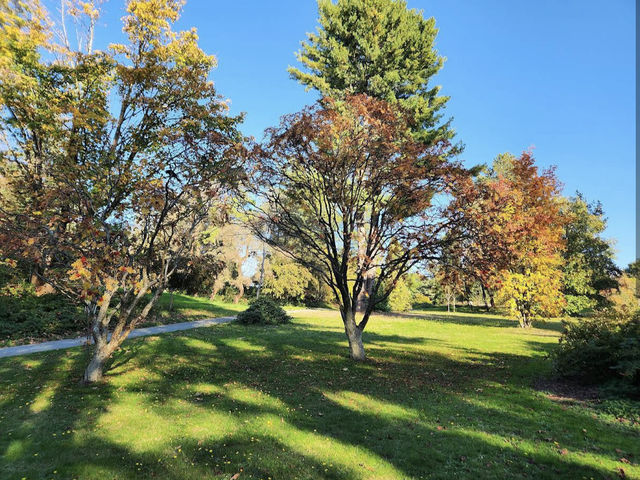 Queen Elizabeth Park